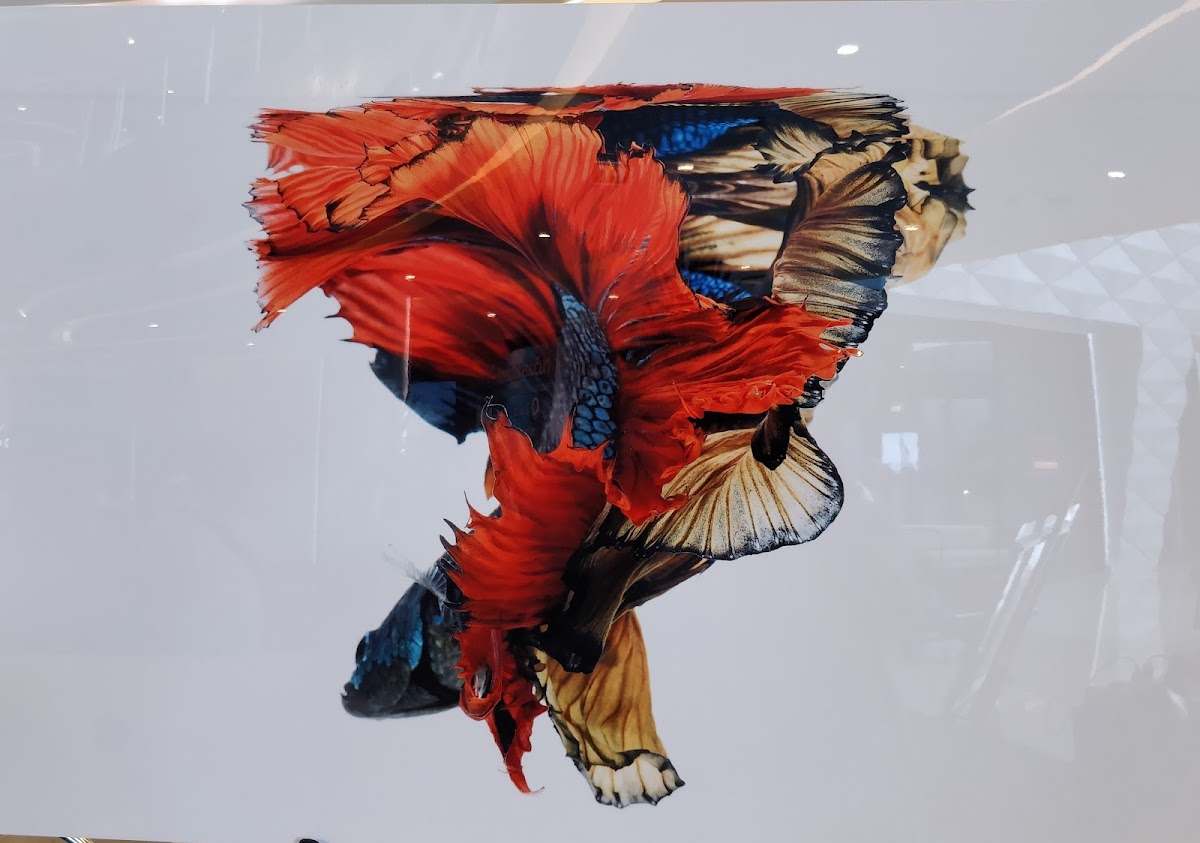 Cafè 102 & Restaurant - 4