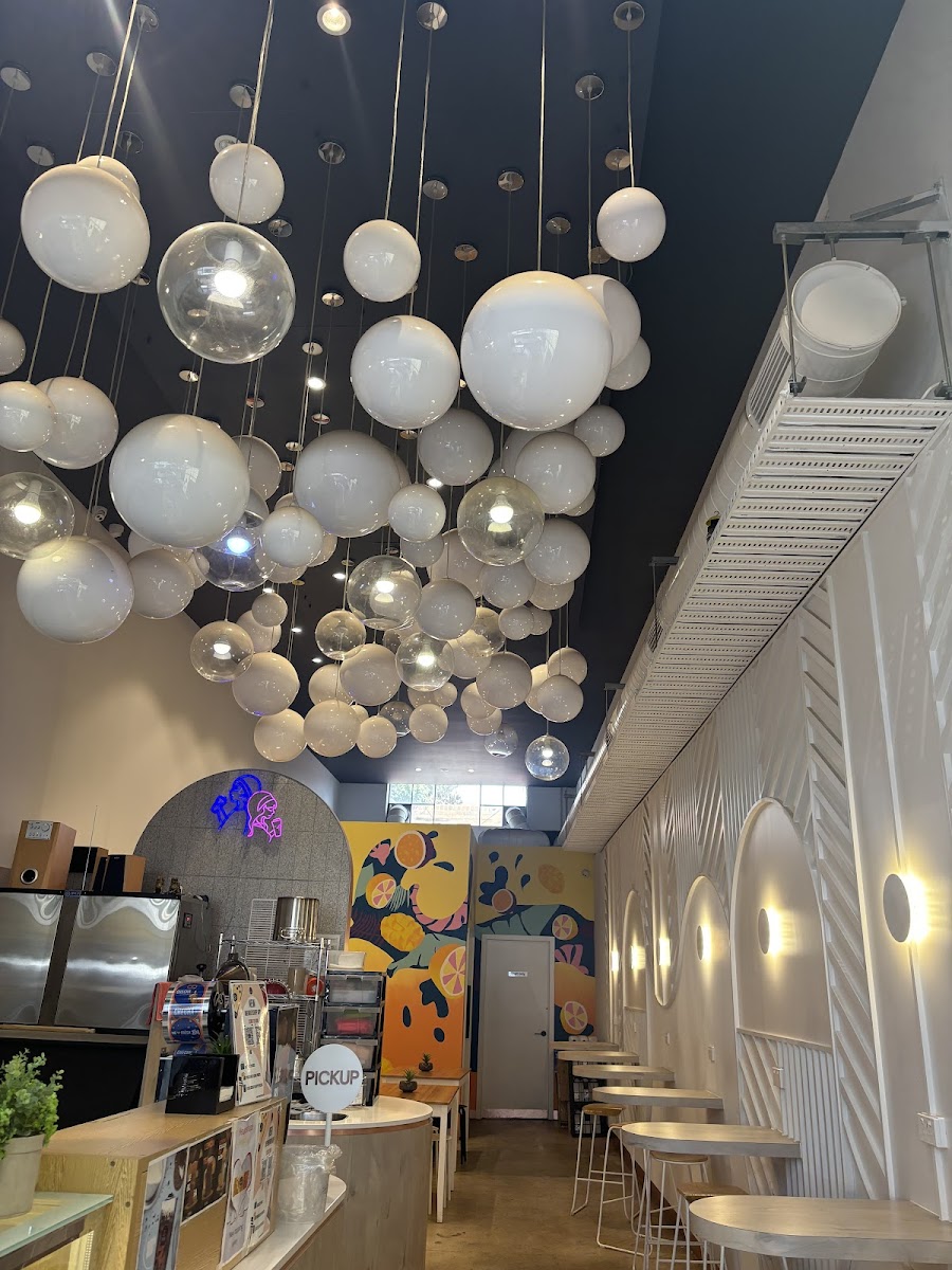 Cha Cha Hawthorn - 2