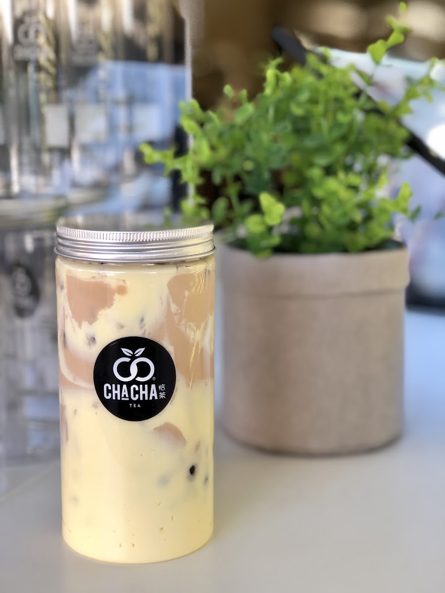 Cha Cha Hawthorn - 8