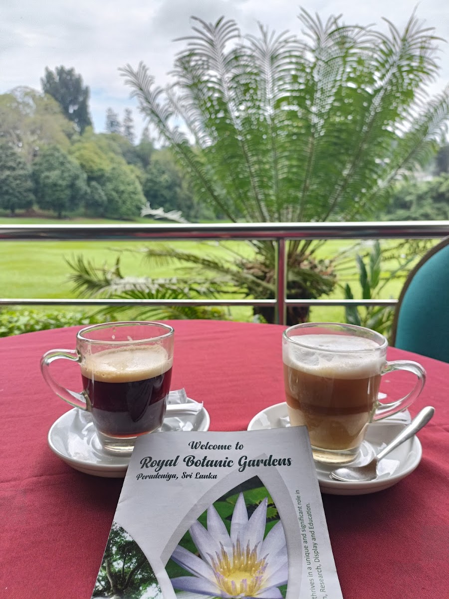 Royal Garden Cafeteria - 9