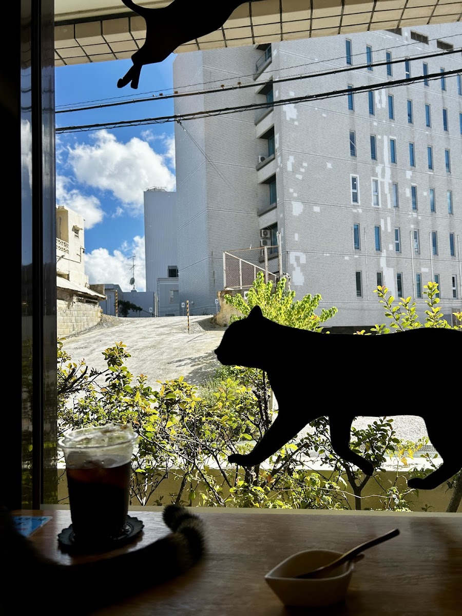 Cat Cafe Nyansore - 5