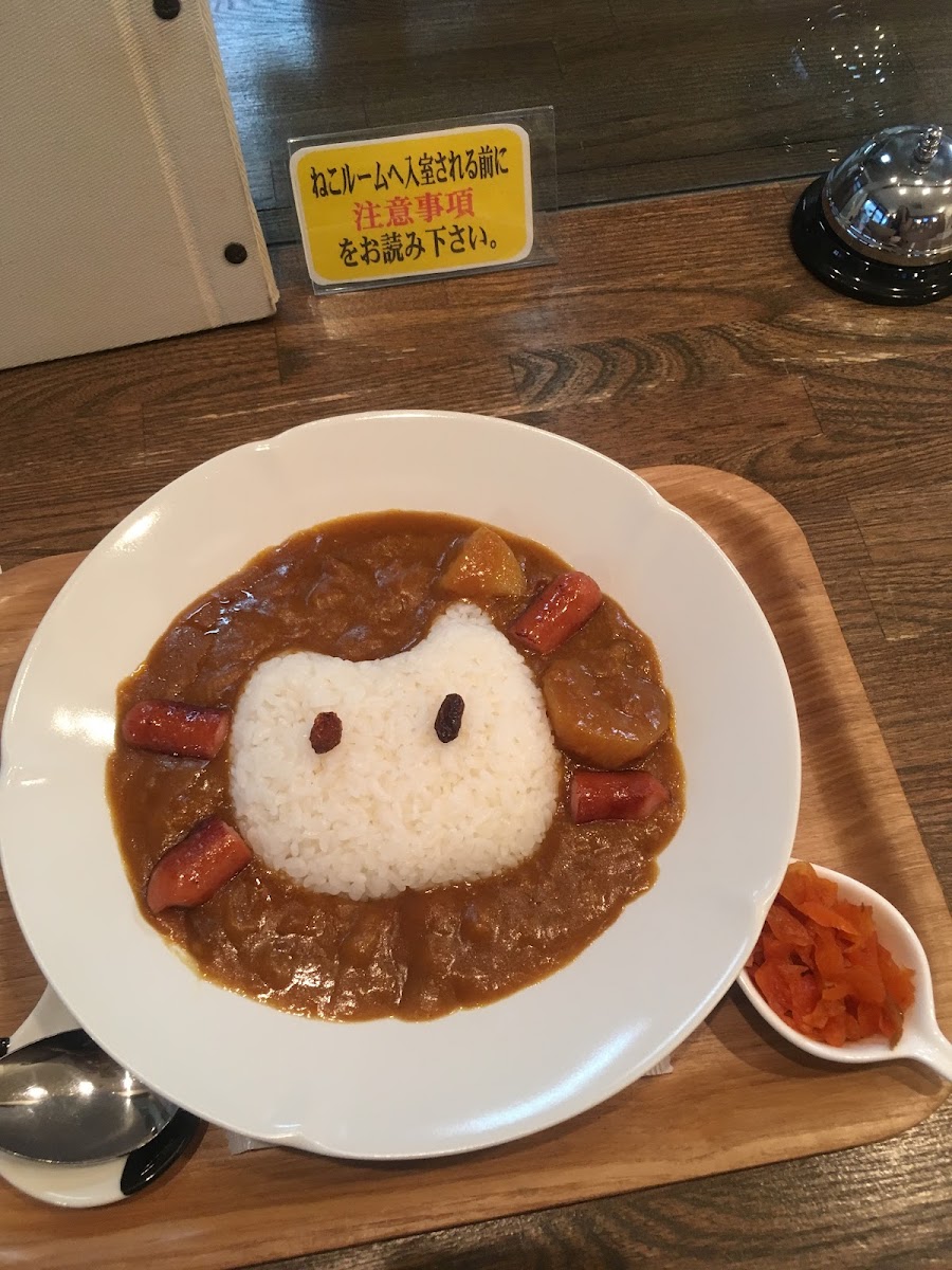 Cat Cafe Nyansore - 6