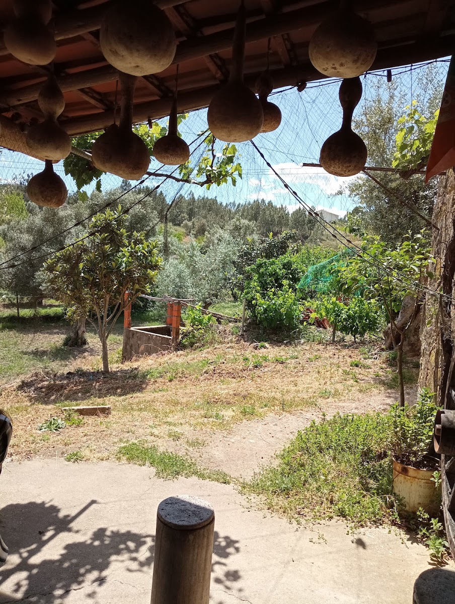 Café São Cristóvão