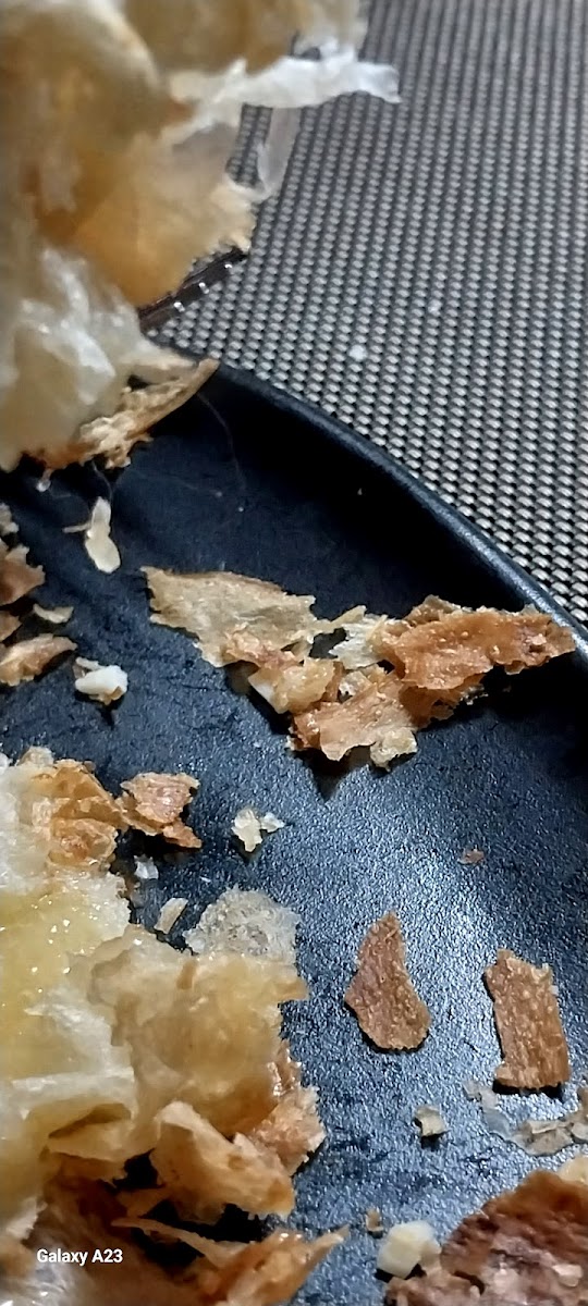 Café Al Andalous - 4