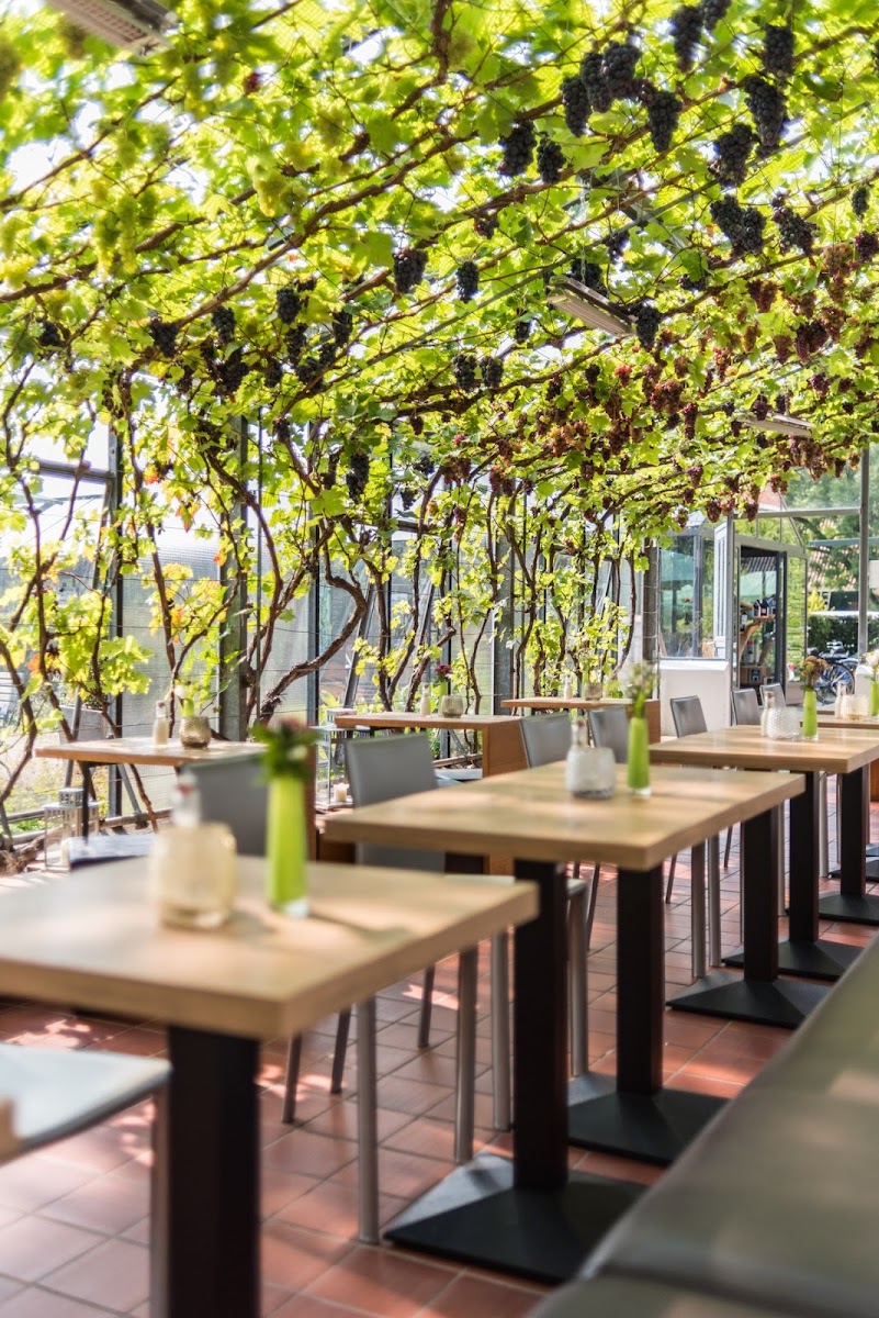 Schlossparkcafe Lutetsburg