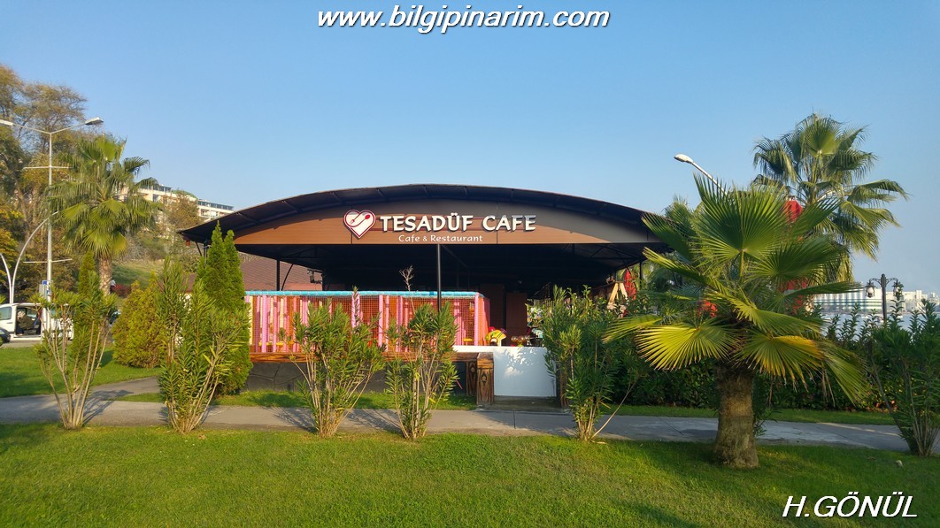 Tesadüf Cafe