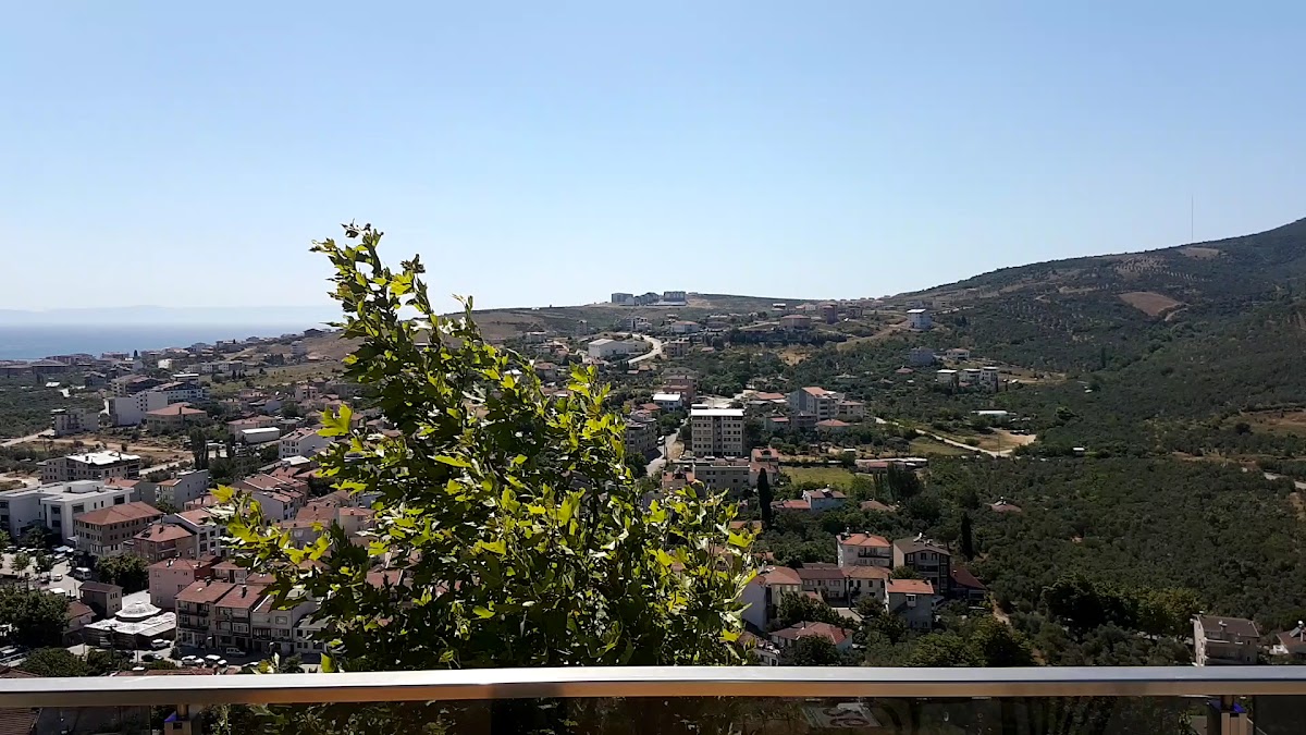 Mesire Alanı ve Panorama Cafe - 2