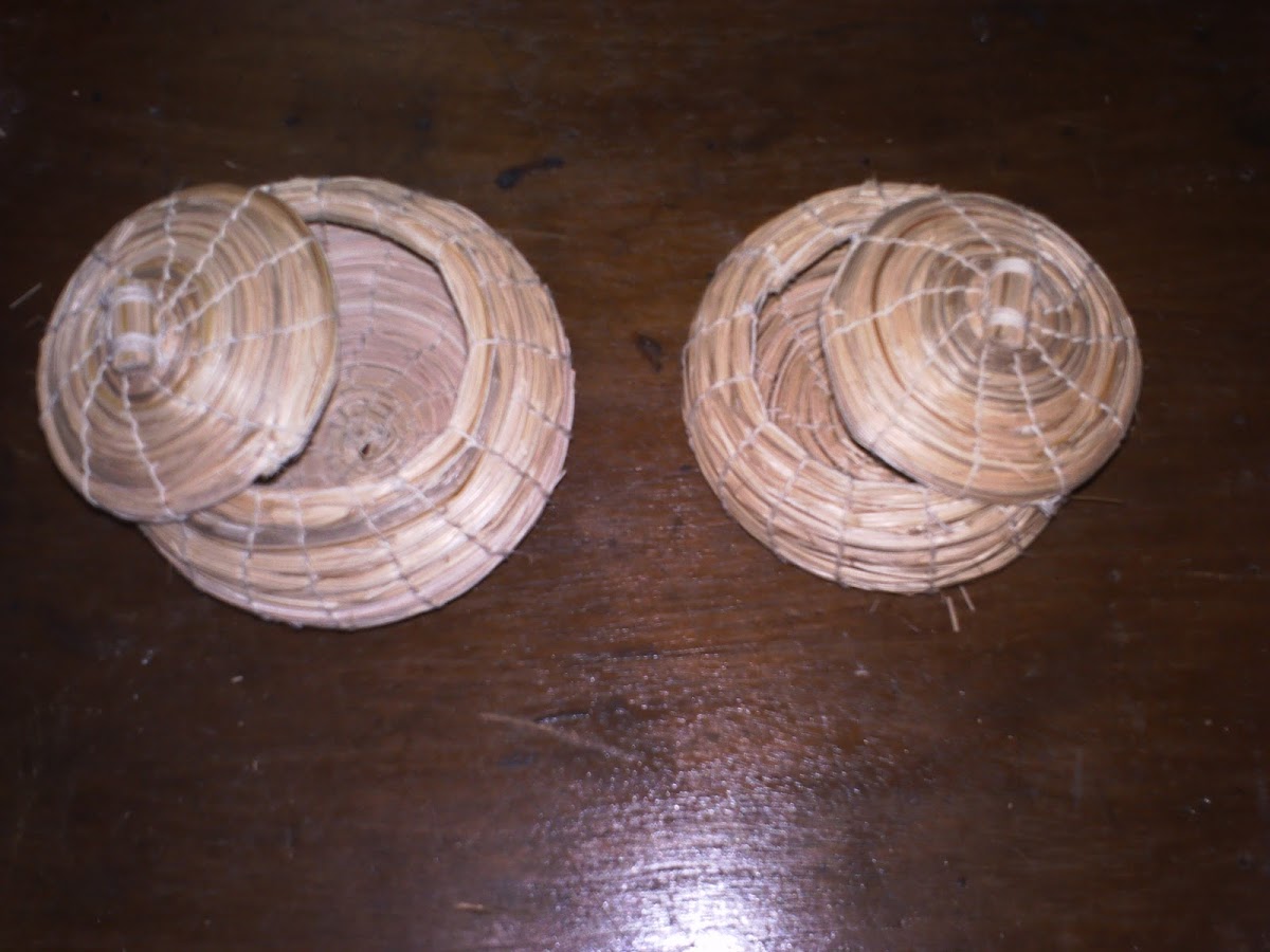 Café SIDI JMOUR - 8