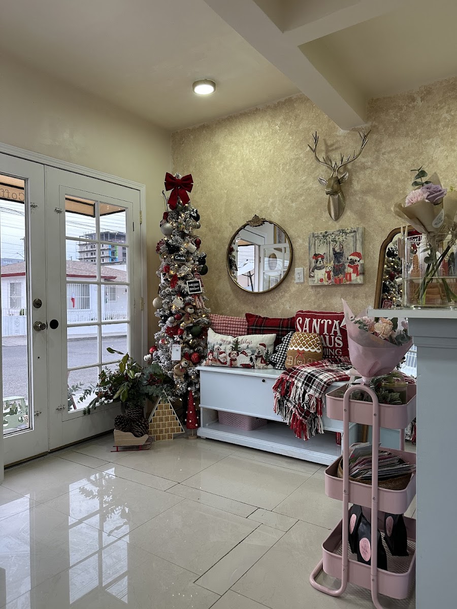 Alegra coffee & flowers