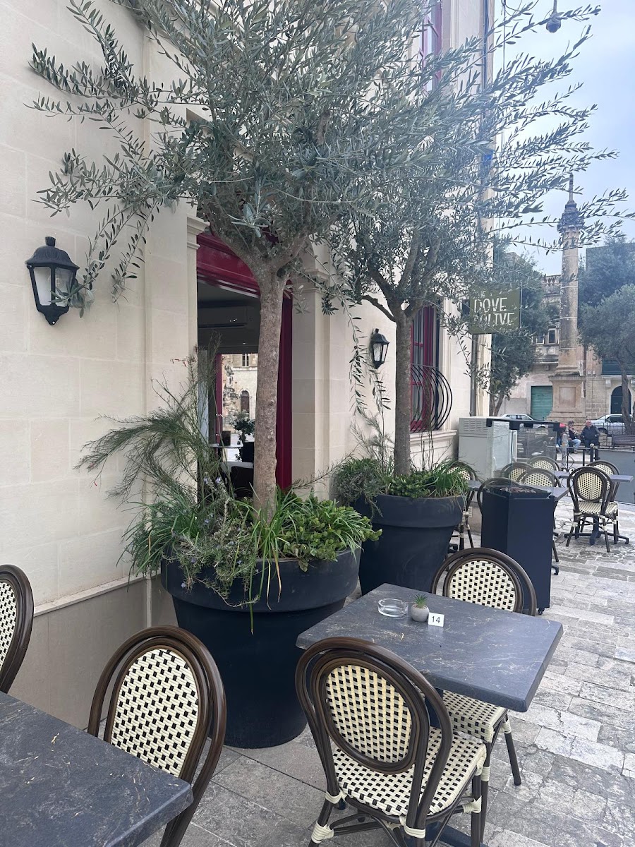 The Dove & Olive - 1