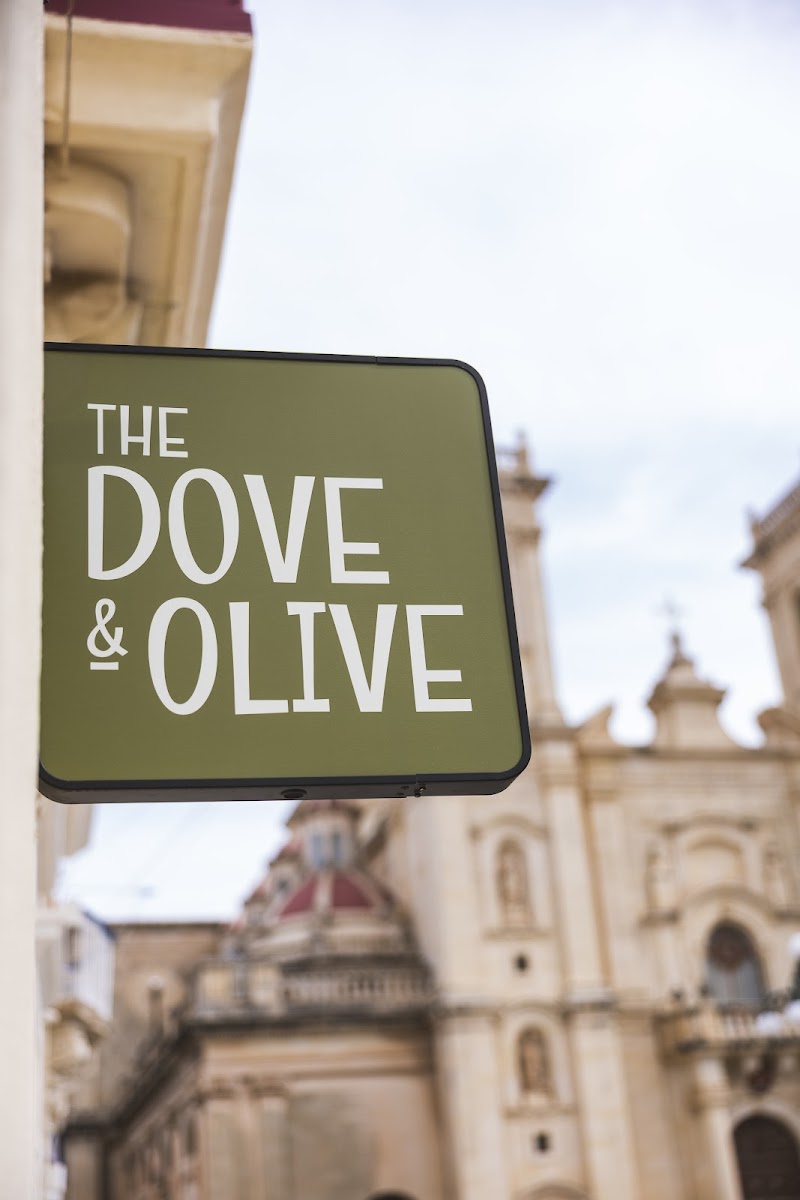 The Dove & Olive - 3