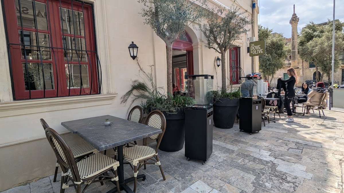 The Dove & Olive - 7