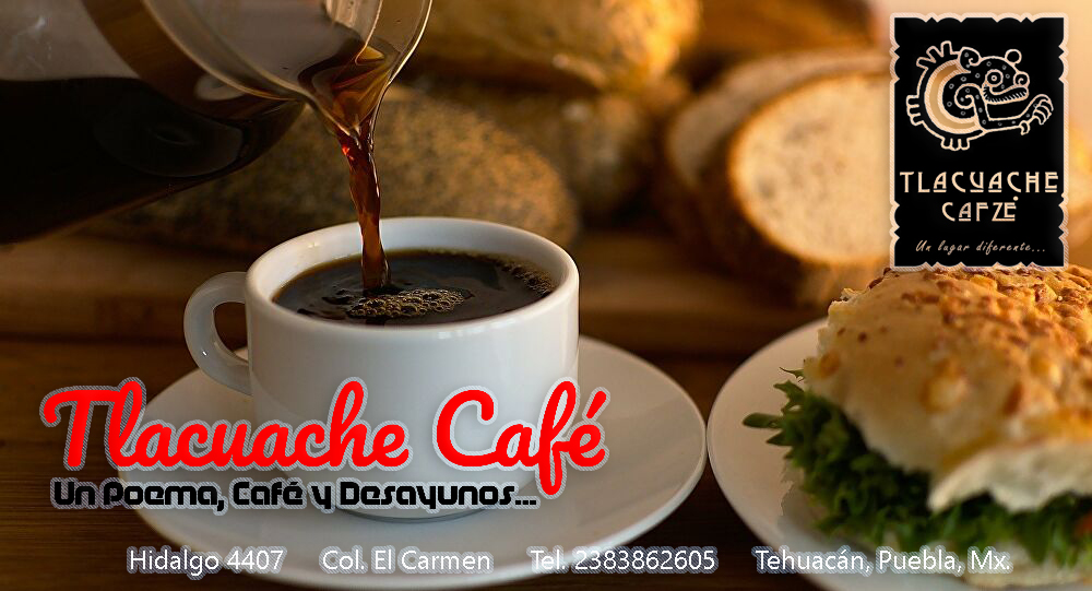 Tlacuache Café - 10