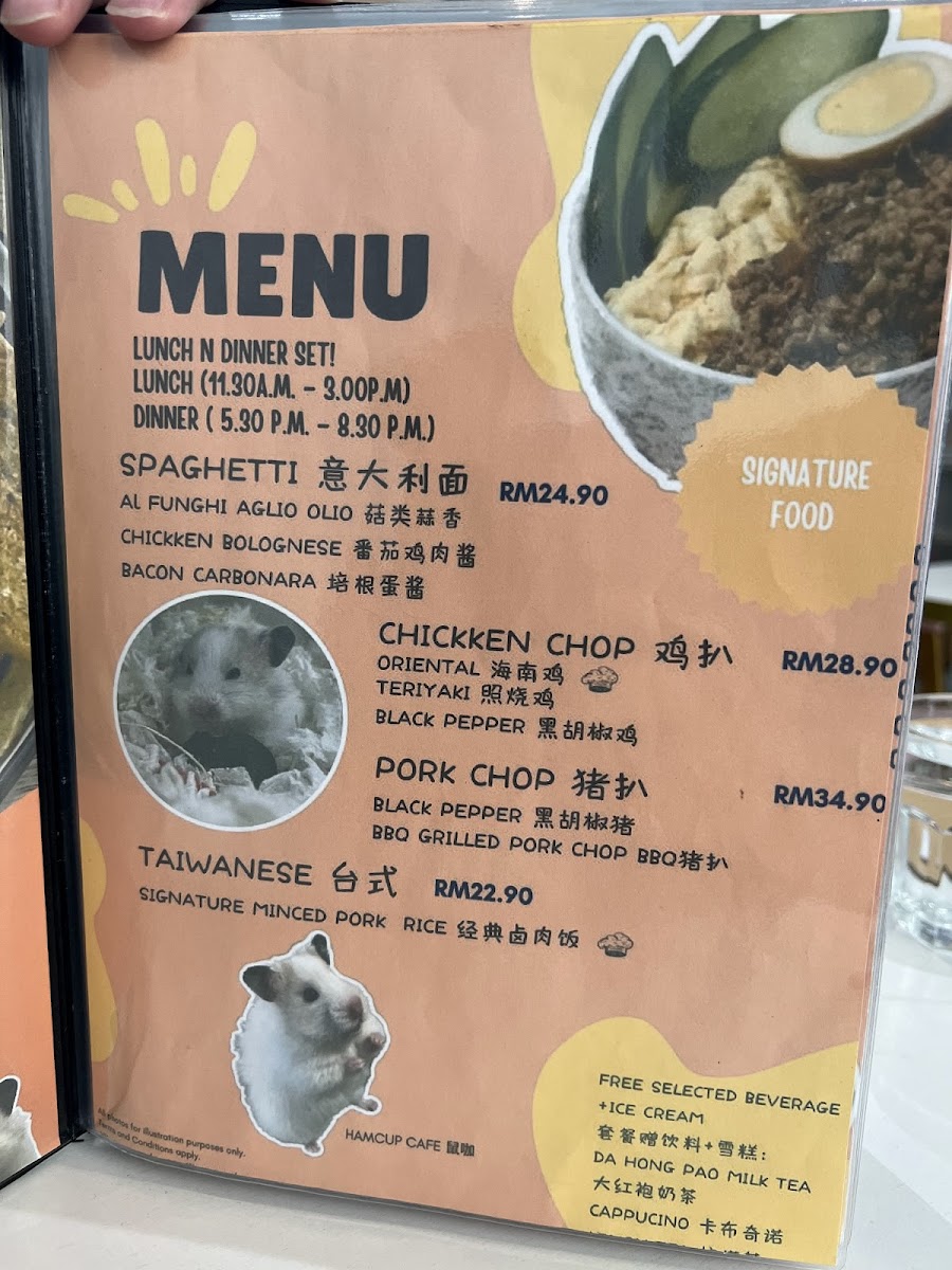 HamCup Mini Zoo And Cafe (Pet Friendly) - 9