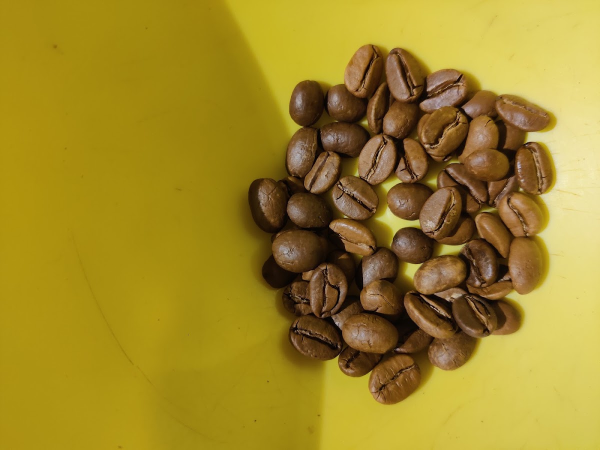 Ainmane Café and Speciality Store. - 7