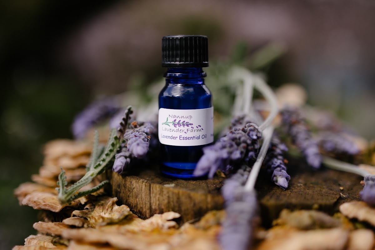 Nannup Lavender Farm Cafe and campground - 8