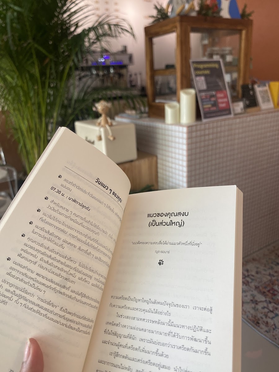 Nit Noi Coffee & more - 6