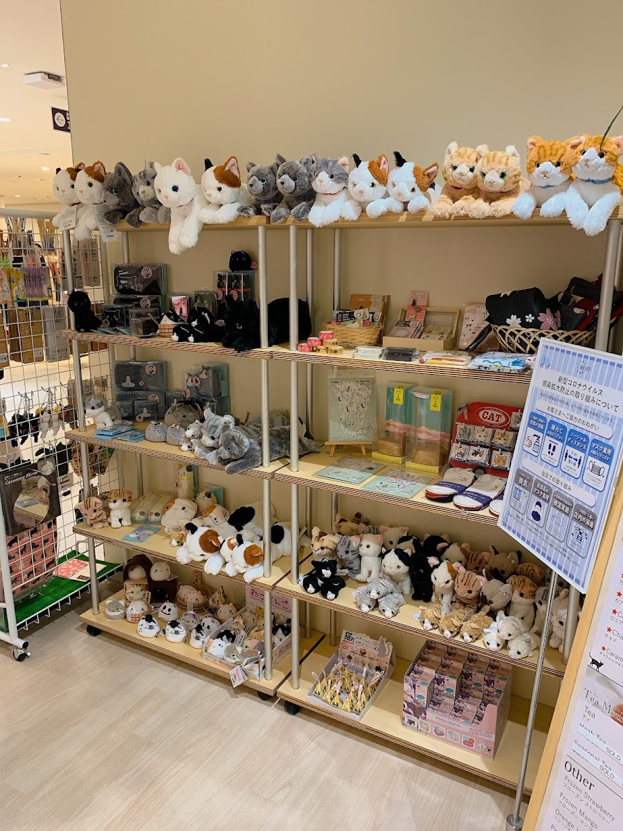 Cat Caf MOFF Shizuoka PARCO Ten - 6