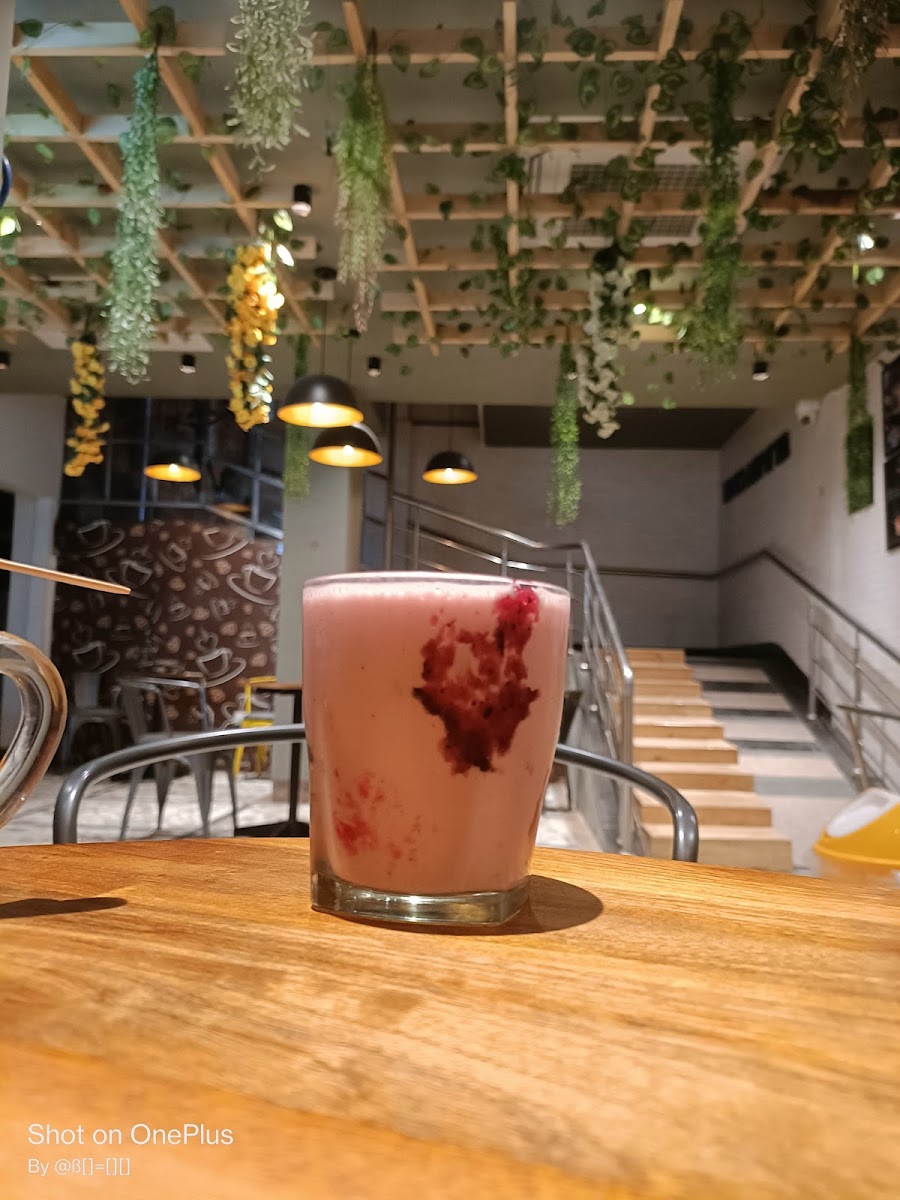 Tealogy Cafe Bikaner - 4