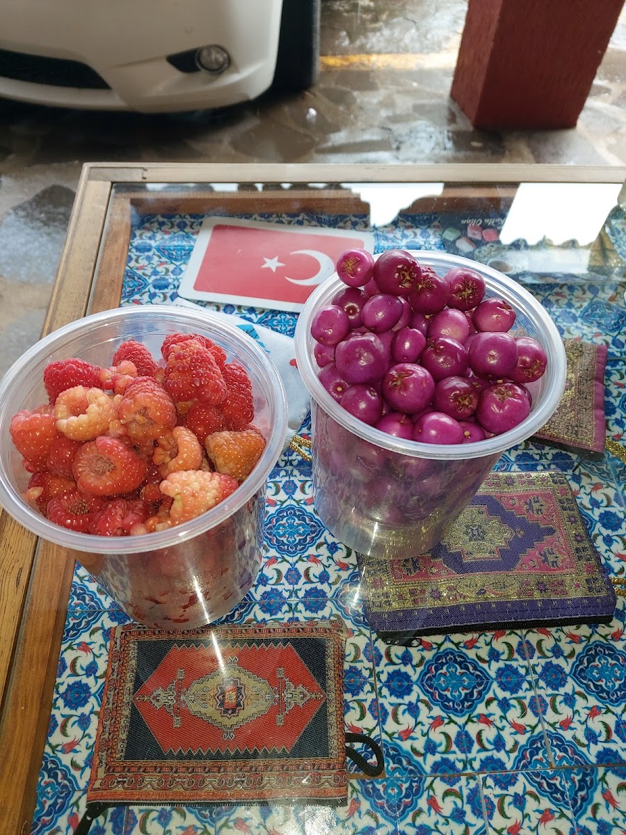 Anatolia Cafe turco - 7