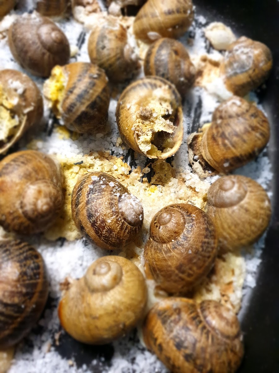 Café Esperança - 3