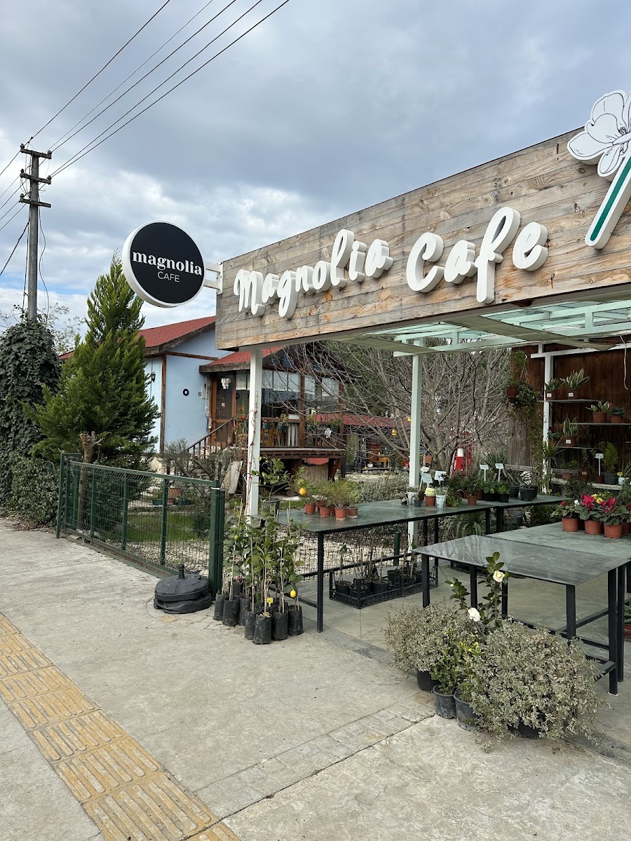 Magnolia Cafe Ordu
