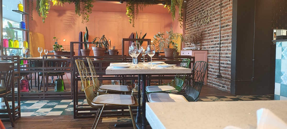 Alex Coffee Roasters