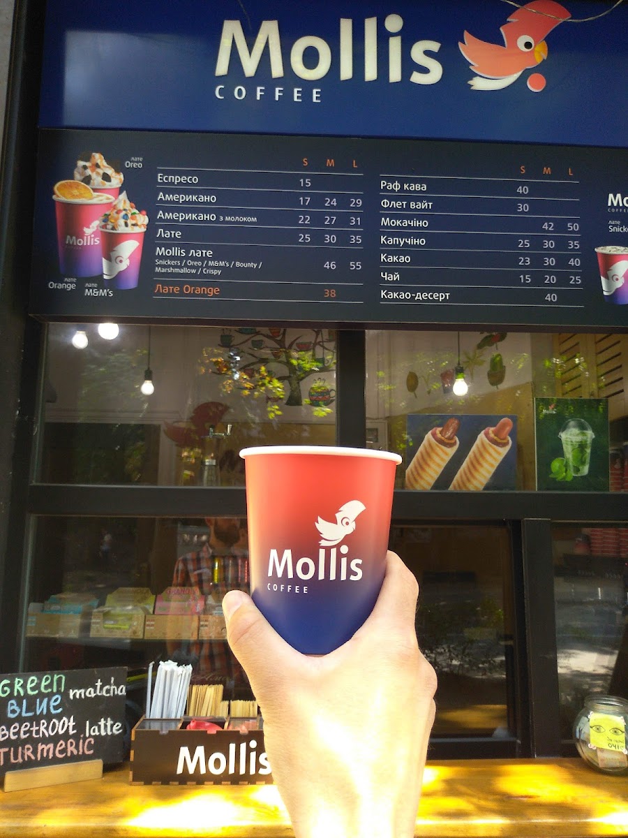 Mollis Coffee - 4