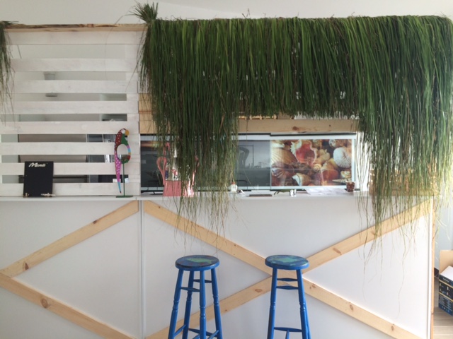 Little Havana Ören - 8