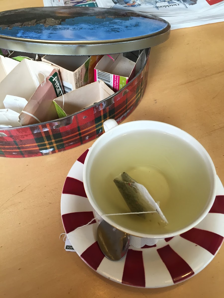 Cafe Voltaire Den Bosch - 5