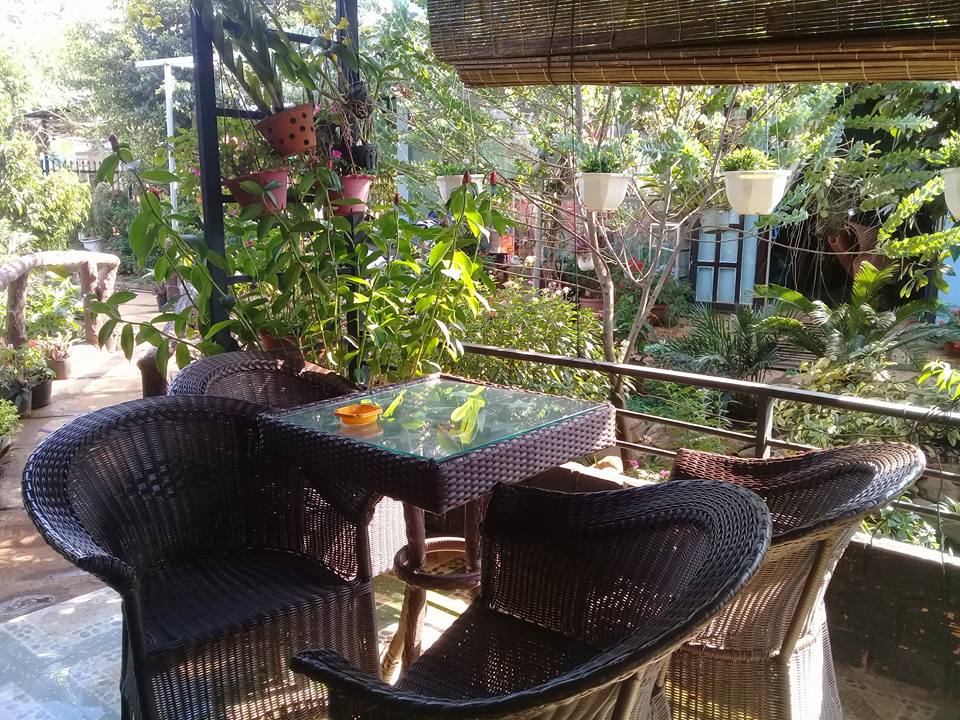 Cà phê sân vườn Sakura