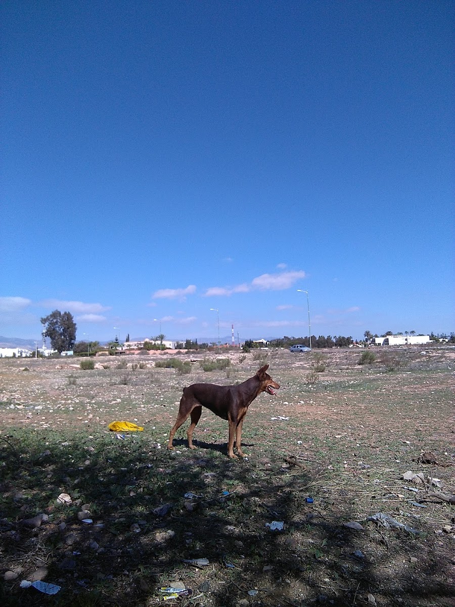 Sport : Café & Restaurant - 4