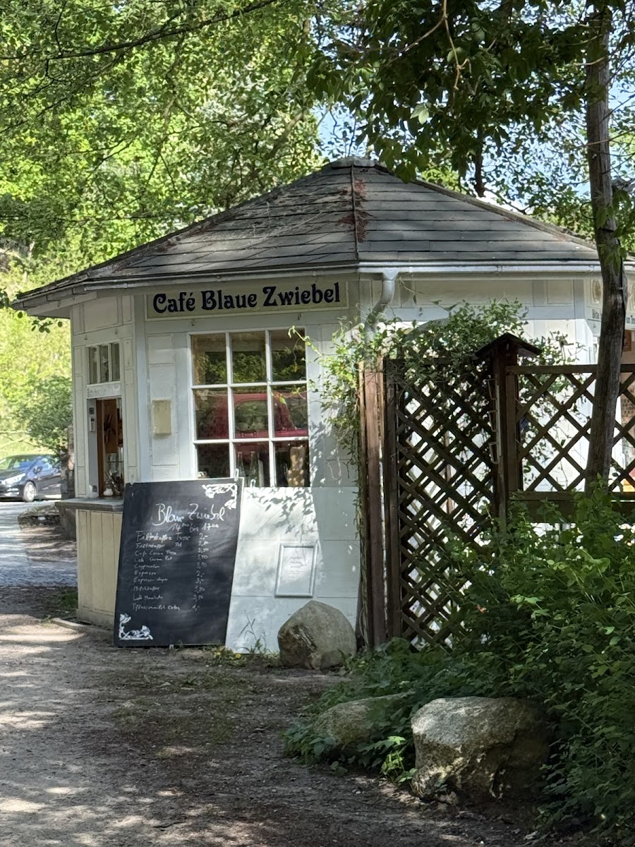 Café Blue Onion - 4