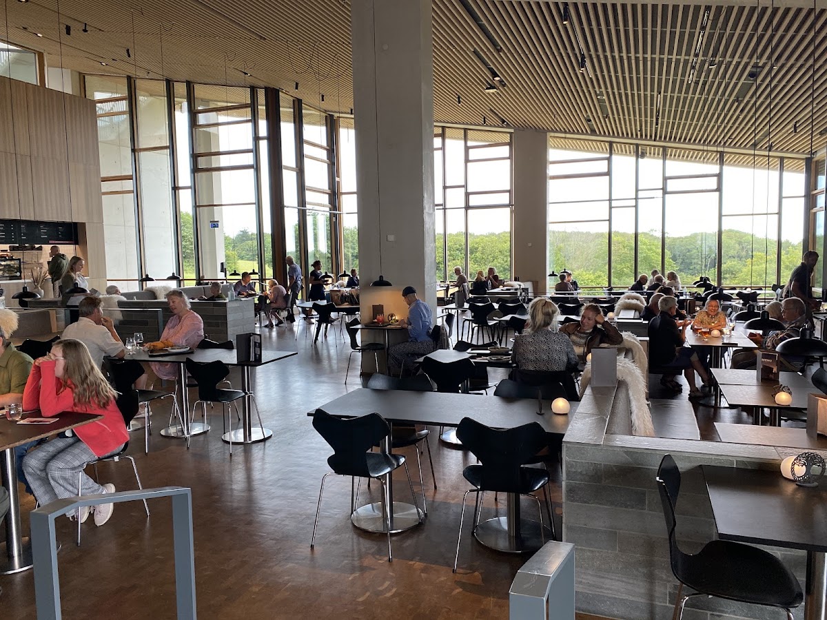 Caféen på Moesgaard Museum