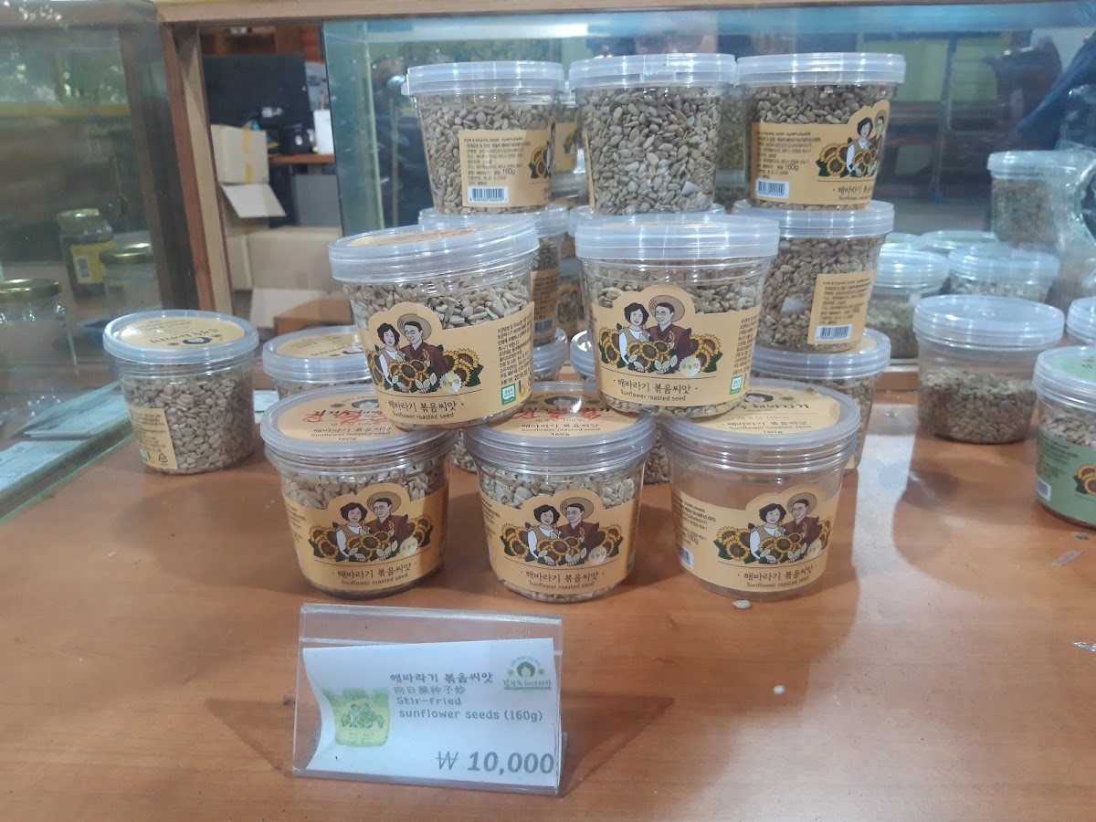 Kim Kyoung Sook Sunflower Farm - 10