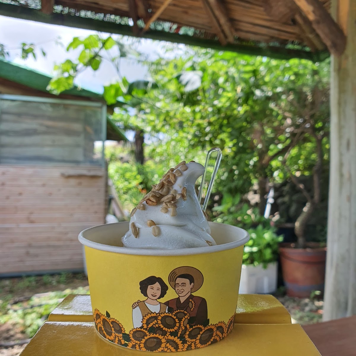 Kim Kyoung Sook Sunflower Farm - 3