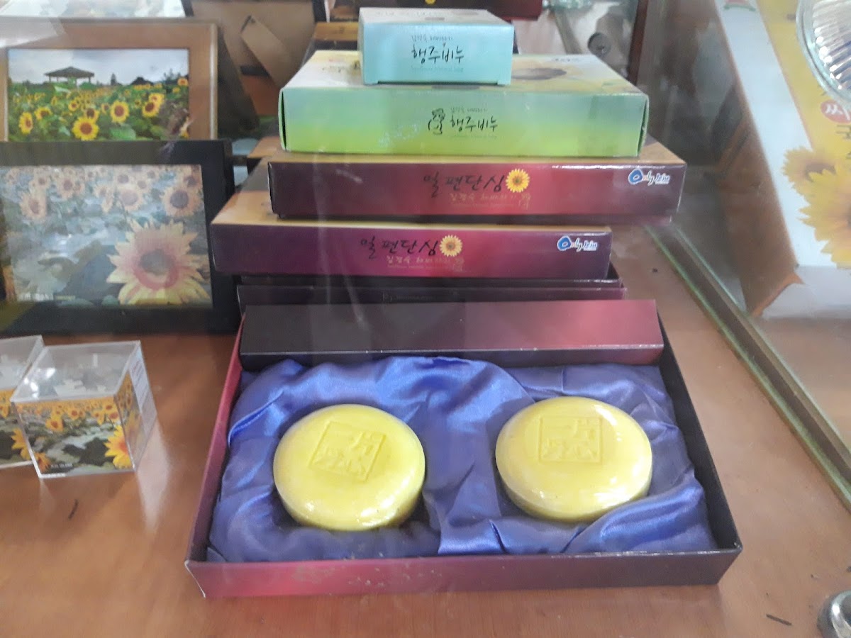 Kim Kyoung Sook Sunflower Farm - 7