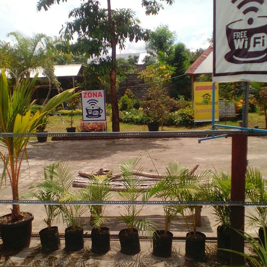 Cafe and Garden 12s - 3