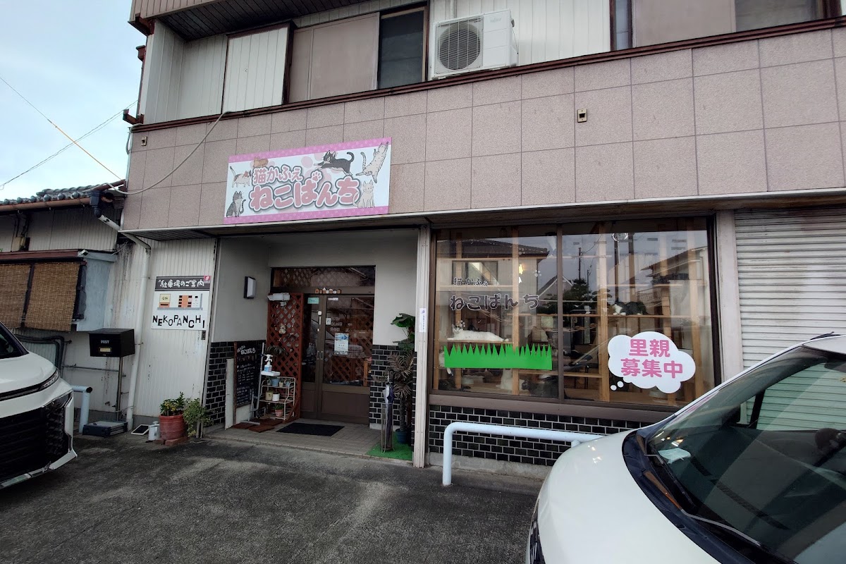 Cat Cafe Nekopanchi