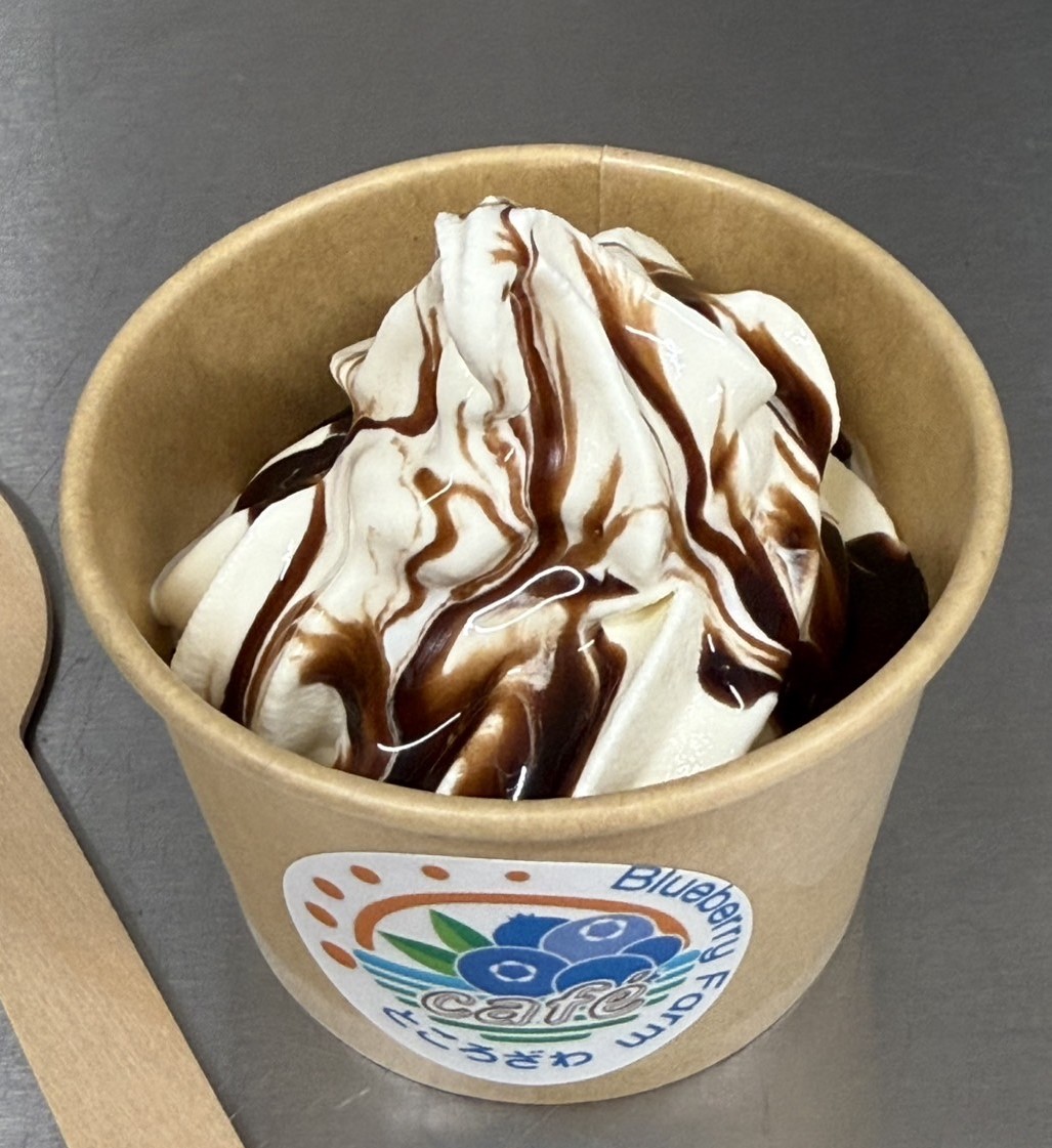 Tokorozawa Blueberry Farm Cafe - 2