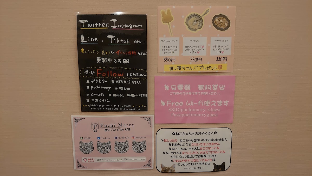 Cat Cafe Puchi Marry AEON MALL KAHOKU - 2