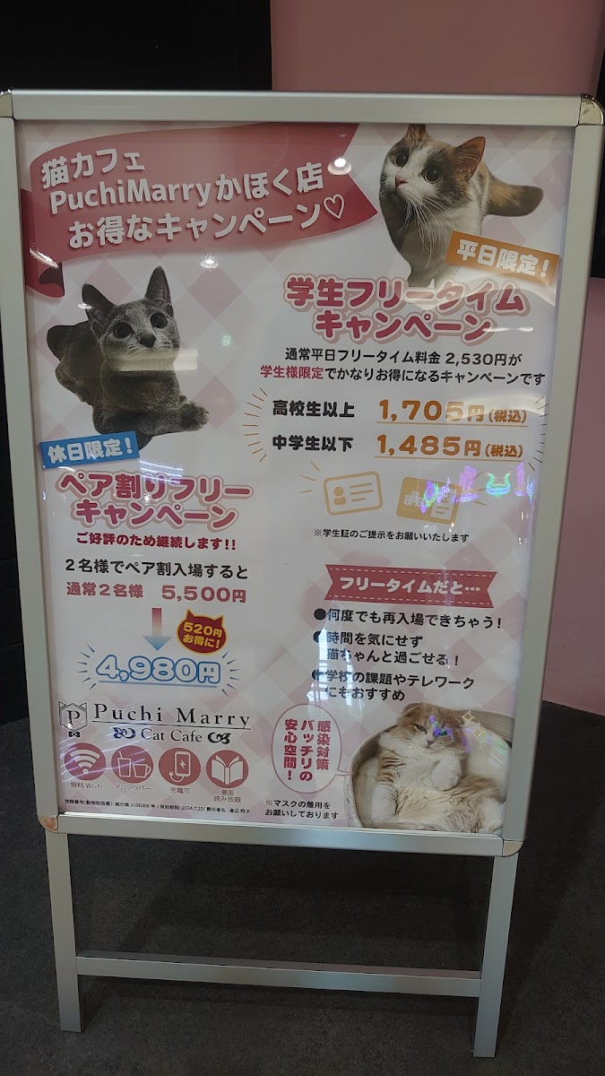 Cat Cafe Puchi Marry AEON MALL KAHOKU - 3