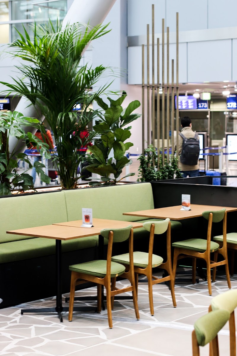 Segafredo Select DUS