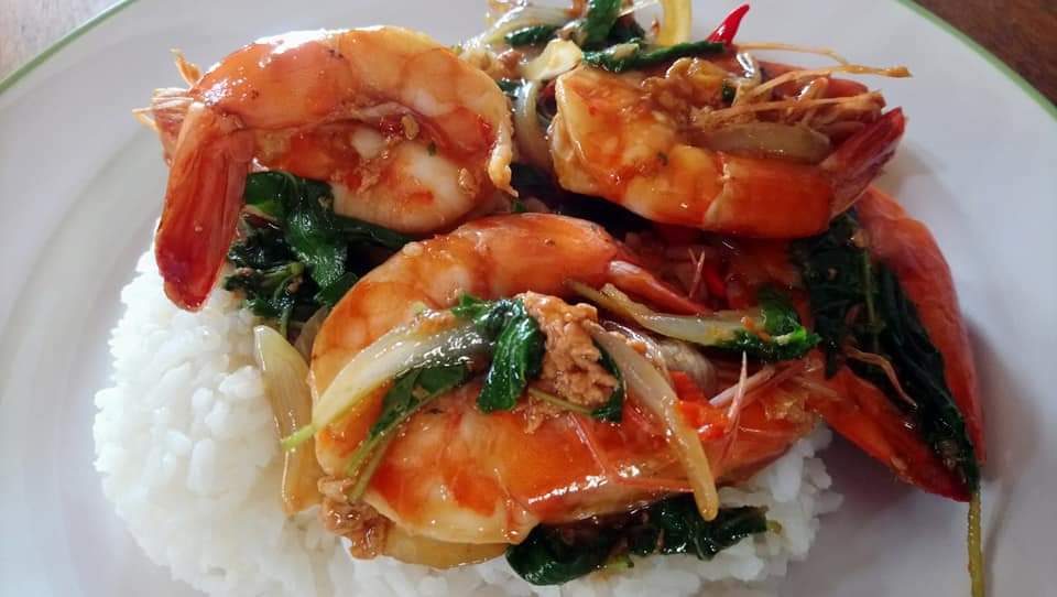 Polly Cafe By Mr.Knott กาแฟดอยช้าง - 3