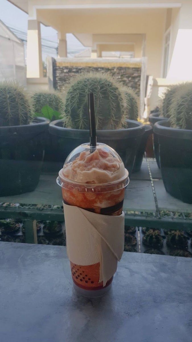 Polly Cafe By Mr.Knott กาแฟดอยช้าง - 7