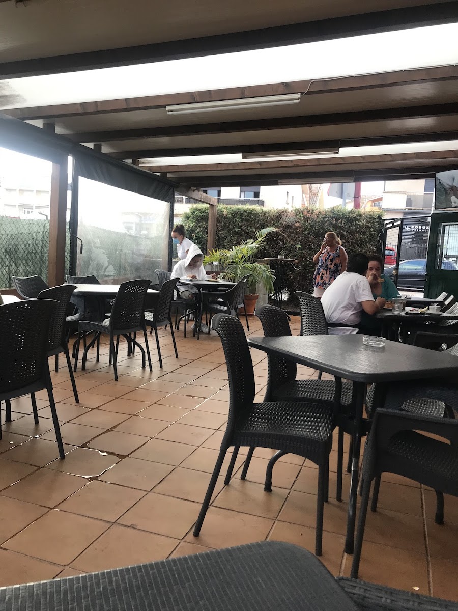 Cafeteria Catty Shark - 4