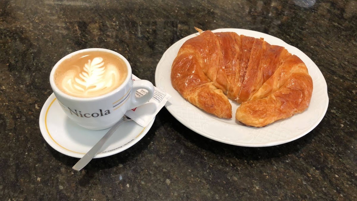 Cafeteria Catty Shark - 6