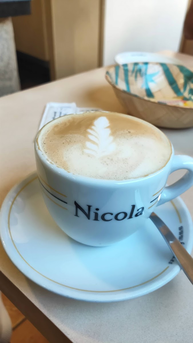 Cafeteria Catty Shark - 8