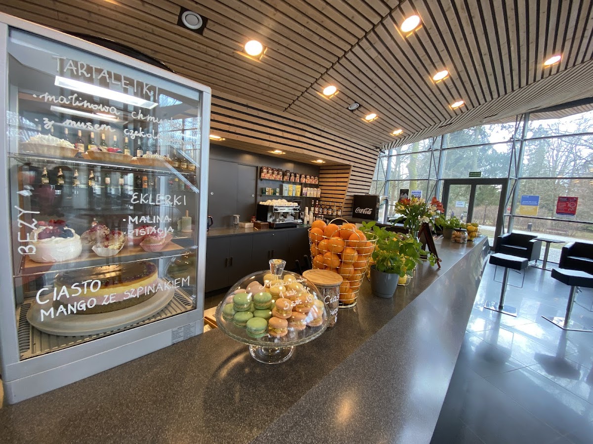 Harmonia Cafe Kawiarnia Koszalin