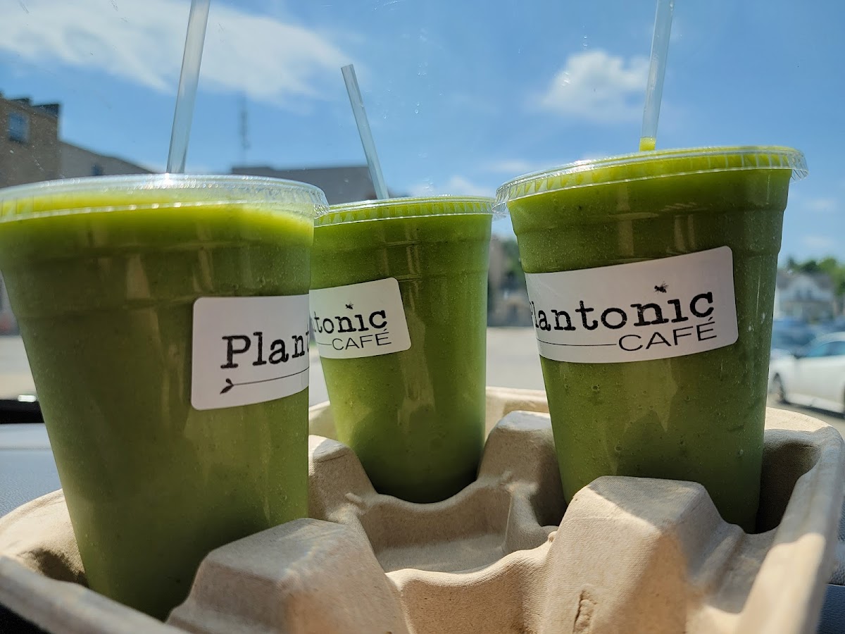 Plantonic Cafe - 7